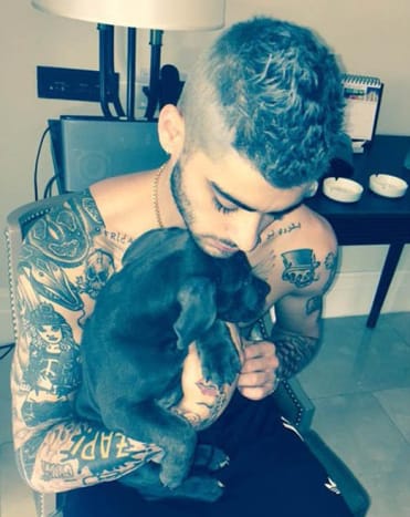 Buvusi „One Direction“ dainininkė Zayn Malik ir tuometinė mergina Perrie Edwards atrodė, kad jie ketina įveikti šansus, kai Zayn debiutavo savo portretinę „Little Mix“ dainininko tatuiruotę, ir jie vis tiek sugebėjo likti kartu. Jie net susižadėjo, bet, deja, neilgai trukus Zayn atšaukė sužadėtuves ir atsidūrė su didele buvusios rankos tatuiruote. Dabar, kai Zayn susitikinėja su modeliu Gigi Hadid, mums įdomu, kiek laiko praeis, kol 23-ejų vyras nuspręs nuslėpti savo nelaimingą Perrie portreto tatuiruotę.